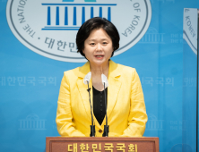 “연합 반대는 정치 하지 말자는 것”