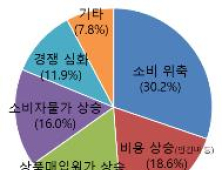 대한상의 “소비 침체 우려에 소매유통 체감지수 급락”