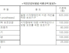 “시각장애인에게 언제까지 흰지팡이만 지원할거냐”