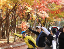 [포토]다시 찾고싶은 필례약수 단풍길