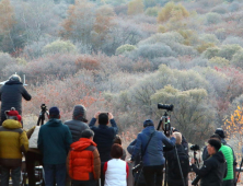 만추의 계절, '비밀의 정원' 카메라에 담다