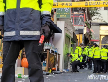 이태원 참사 사망자 141명 신원확인…10명은 파악 중