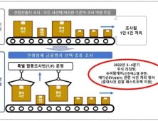 금감원, 중대 금융범죄 우선 조사…인력 투입 확대