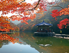 정읍 내장산, 울긋불긋 단풍빛깔 ‘절경’