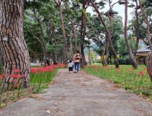 의령군, 나무로 꿈꾸는 ‘목재문화체험장’ 조성 [의령함안]