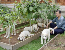 與 “文 전 대통령, 연금 월 천만 원 이상 수령하는데 풍산개 파양 통보”