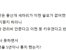 홍준표 “文, 개 3마리도 건사 못하면서 어떻게 나라 5년 통치했나”