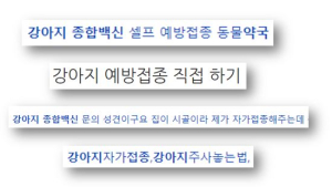 반려견·반려묘 백신, ‘셀프 접종’ 못 한다