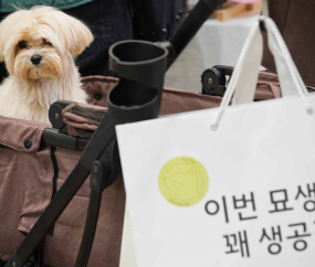 반려동물 용품 총집합 '2022 메가주'