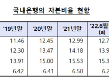 3분기 은행 위험자산 증가, BIS비율 0.46%p 하락   