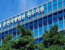 지방선거 군수 후보 홍보한 전 공무원 집행유예 선고