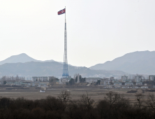 합참의 ‘새 떼’ 발견 발표, 그리고 의문점