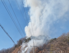 “울진 산불 악몽 재현될라”…대구·경북 산불 잇따라