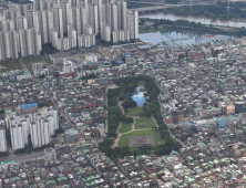 ‘강남 3구·용산’ 제외 규제지역 해제