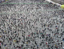 화천산천어축제 