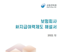 금융감독원, 보험사 ‘신지급여력제도 해설서’ 발간