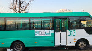 파주시, 시내버스 313번, 313-1번 노선 통합 및 증차 운행