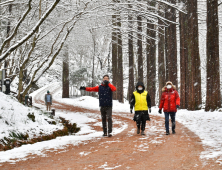 순창 강천산군립공원, 설날 연휴 무료개방