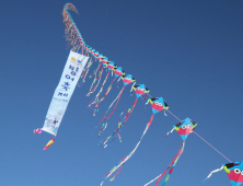 [포토]인제 빙어축제장 수 놓은 가오리 연 