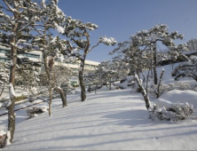 상산고도 지역인재 선발 의무화 적용되나