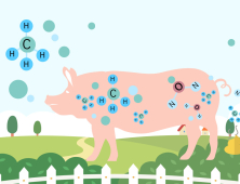축산 온실가스 배출 더 정확하게 산정
