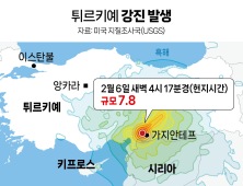 튀르키예 중부서 또 규모 5.3 여진