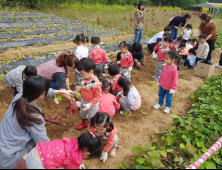 영주시, 도시텃밭 무료 분양…10㎡씩 220세대