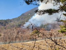 문경 야산에서 불…1시간 30여분만에 진화