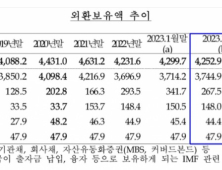 강달러 여파에 외환보유액 줄어들어…4개월만에 감소세