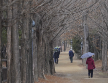 봄비 내리는 산책길