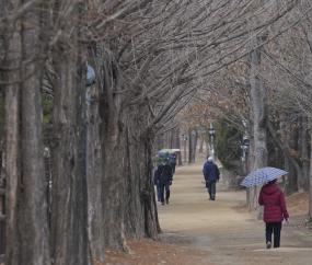 봄비 내리는 산책길