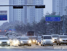 ‘과열 경쟁’ 논란 운전자보험 특약…금감원 경고에 한도 줄이나