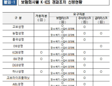 금감원 “보험사 19곳, 新지급여력 경과조치 신청”