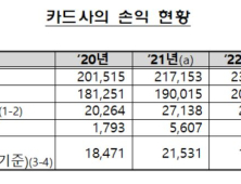 지난해 카드사 순이익 4% 감소…이자 비용 증가 영향