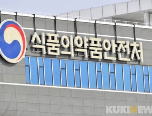 “국내 의료기기 기술을 국제표준으로”…식약처, 시행계획 마련