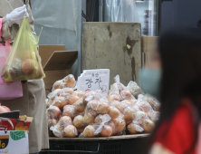 감자 가격 또 뛴다…평년 대비 최대 36%↑ 