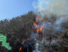 홍천 사유림 산불…1시간 30분만에 진화