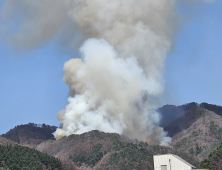 화천 신아아파트 뒷산 불, 정상으로 확산[쿠키포토]