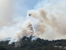 [속보]서울 북악산·인왕산에 연쇄 산불…긴급 입산금지