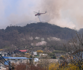 '인왕산 화재' 연기로 자욱한 홍제동 개미마을