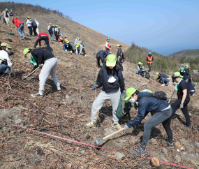 유한킴벌리, 동해 산불 피해지 복원위한 나무심기 행사 가져