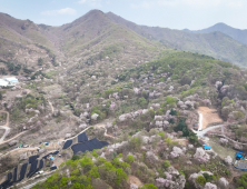 금산군, 비단고을 산꽃축제 15일 개막...이틀간 건강 이벤트