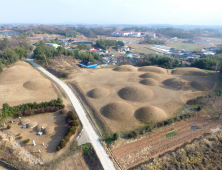 ‘국립마한역사문화센터’ 영암으로