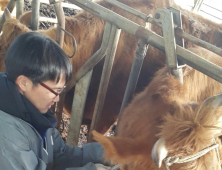 거창군, 상반기 ‘소 브루셀라병 일제검사’ 추진