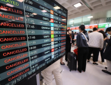 강풍에 제주 무더기 결항…1만명 발 묶여