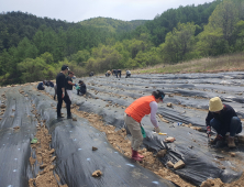 [포토]태백 문곡소도동 