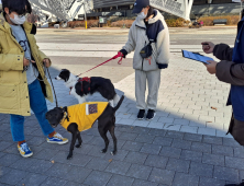 놀이터 맹견 출입시 과태료 300만원..서울시 집중 홍보 