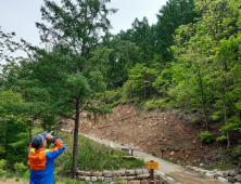 북부산림청, 산림사업용 종자 결실상황 및 채취 가능량 조사 추진