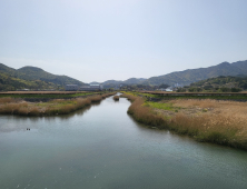 경상남도, 도 대표 우수습지 확대 지정・운영 [경남브리핑]