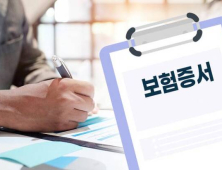 ‘급전창구’ 보험 약관대출마저…금리 6%대